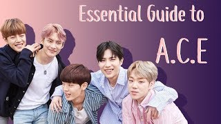 Essential Guide to ACE  Members Music Etc [upl. by Ijneb602]