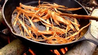 Wild Food Foraging Tree Bark Cambium Emergency Food [upl. by Egnalos]