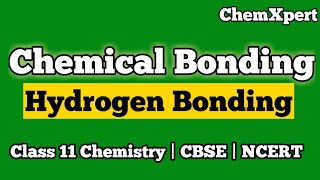 Hydrogen Bonding  Class 11 amp 12  Chemistry  CBSE  NCERT [upl. by Negiam703]