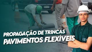 AULA 10  PROPAGAÃ‡ÃƒO DE TRINCAS EM PAVIMENTOS FLEXÃVEIS  ENG DANYLO [upl. by Seravaj]