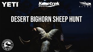 MARCH DESERT BIGHORN SHEEP HUNT [upl. by Issy]