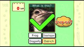 Big Brain Academy Wii Degree  Fast Focus Expert 569g Score 055 [upl. by Ryann427]