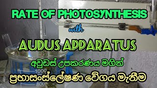 Determination of Rate of Photosynthesis by Amount of Oxygen Released Audus Apparatus යොදා ගැනීම [upl. by Daisie]