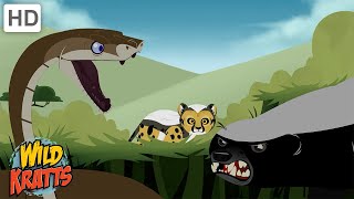 Creature Battles  Every Creature Showdown Part 113 Wild Kratts [upl. by Adnilim586]