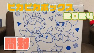 【福袋】ピカピカボックス2024開封！！ [upl. by Constant]