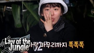 Seul Gi is The Only Peaceful One As Always Law of the Jungle Ep 322 [upl. by Ahsai289]