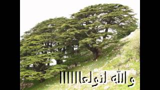 LEBANESE DABKE والله لنولعا دبكة ولا اجمل [upl. by Dielle]