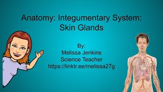 Integumentary System Skin Glands [upl. by Dogs798]