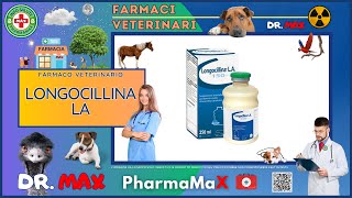 🐶 LONGOCILLINA LA Farmaco Veterinario a cosa serve   Foglietto Illustrativo Salute [upl. by Nwahsav]