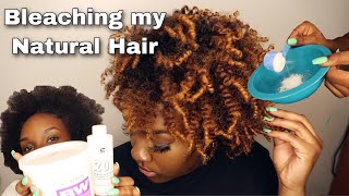 How To Bleach Curly Hair At Home WITHOUT DAMAGE  Ombre Natural Hair [upl. by Germaine407]