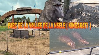 DECOUVERTE PARC DE LA VALLEE DE LA NSELE  KINGAKATI  BOTALA BA NIAMA YA SORTE NIONSO BAZA NA KITI [upl. by Iblehs]