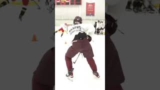 Stickhandling Hockey Training Drills [upl. by Araf]