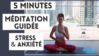 5 min  Méditation guidée pour le stress l’angoisse et lanxiété [upl. by Ahsiener]