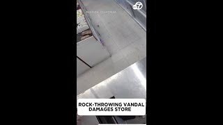 Rockthrowing suspect damages LA store video shows [upl. by Noemad936]