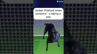 The new Jordan Pickford [upl. by Yzus]