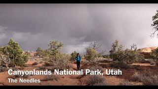 Chesler Park Loop  Canyonlands Needles District [upl. by Nabalas]