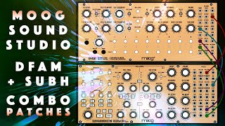 Moog Sound Studio DFAM  Subharmonicon 50 Combo Patches  Samples Demo [upl. by Aicen447]