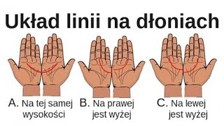 ✅ Jeśli te 2 linie na Twoich dłoniach się stykają oznacza to że Twój partner jest prawdziwym [upl. by Ahseyk86]