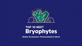 quotTop 10 NEET Biology Questions Bryophytes Photosynthesis and Plant Anatomy  NEET 2025 Prepquot [upl. by Iatnohs]