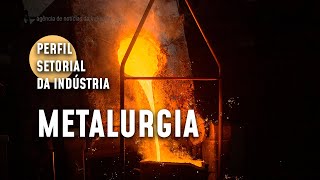 Conheça o setor de metalurgia  2022 [upl. by Ricoriki]