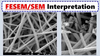 How to Interpret SEM Images [upl. by Ahsrop8]