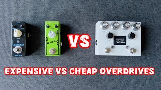 Browne Amplification The Protein VS Mooer Blues Crab  Tone City Nobleman Comparison 🔥 [upl. by Calysta]