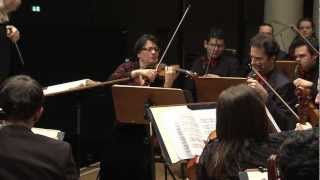 RimskyKorsakov Scheherazade 3rd Mvt  Videnoff  Mannheimer Philharmoniker [upl. by Soll]