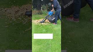 A Market Leading Corded Leafblower and Garden Vacuum  For Easy Autumn Garden Cleanup Shorts [upl. by Tsnre]