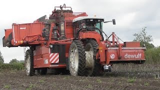 Dewulf R3000 Mega Potato Harvester [upl. by Suhpesoj]