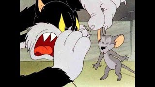 Looney Tunes  The FifthColumn Mouse 1943 High Quality HD [upl. by Maroj]