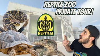 Reptile Zoo Tour Monitors amp Venomous Snakes At Reptilia [upl. by Goodrich]