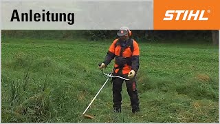 MähtechnikTipp Mähen im hohen Gras mit einer STIHL Motorsense [upl. by Garrek]