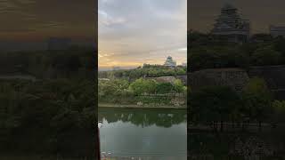 Osaka Castle 01112024 [upl. by Enirhtac830]