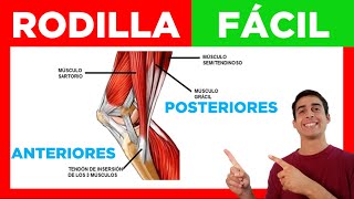 PRÓTESIS DE PIERNA SOCKET RODILLA POLICÉNTRICA Y PIE EN FIBRA [upl. by Eahsal]