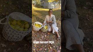 Apple 🍏 Harvest in my Moncton home backyard applepicking Chef Jay’s vlog [upl. by Wieche]