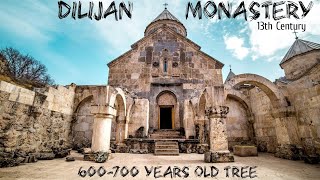 Dilijan Monastery  Haghartsin  700 years old Tree  13th Century Monastery  Indian in Armenia [upl. by Block]