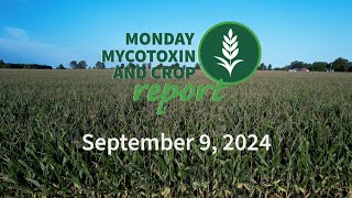 Monday Mycotoxin and Crop Report for September 9 2024 [upl. by Fechter]