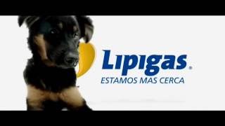 Nuevo Perrito Lipigas [upl. by Aruam]