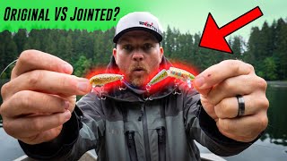 Original Rapala VS Jointed Rapala TROUT FISHING SHOWDOWN [upl. by Samid]