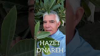 Hazét DNareh  Detalles Cover [upl. by Ameehs]