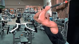 Overhead Cable Tricep Extension [upl. by Adorne]