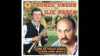 AUREL UNGUR si ILIE PASCA DE O SAPTAMANA BEAU [upl. by Raskind]