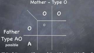 Punnett Square to determine possible blood types [upl. by Loree292]