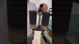 installing biosponge filter to fish tank aquariumhobby aquariumfilter [upl. by Egres]