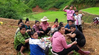 Hire someone to help plant a new rice crop have lunch in the field with everyone  Family Farm [upl. by Llenna]