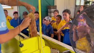 Niue Honey Factory Tour [upl. by Eannej184]