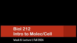 CSULB Biol 212 Fall 2024  Week 6 Lecture 1 [upl. by Tilla]