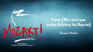 Finale Wie wird man seinen Schatten los Reprise  Thomas Hohler [upl. by Wiggins]