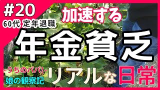 【年金暮らし】大誤算定年退職後の生活  介護保険料高額に…母の介護保険申請 【60代 シニアライフ 定年退職  日常 Vlog  老後の暮らし 生活】 [upl. by Hardunn]