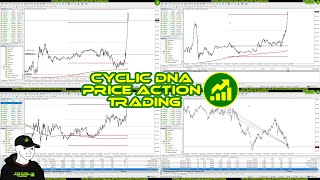 Cyclic DNA Price Action Trading [upl. by Nitfa572]